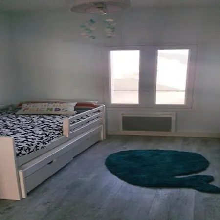 D'olonne : Les Ailes Face Mer Apartament *